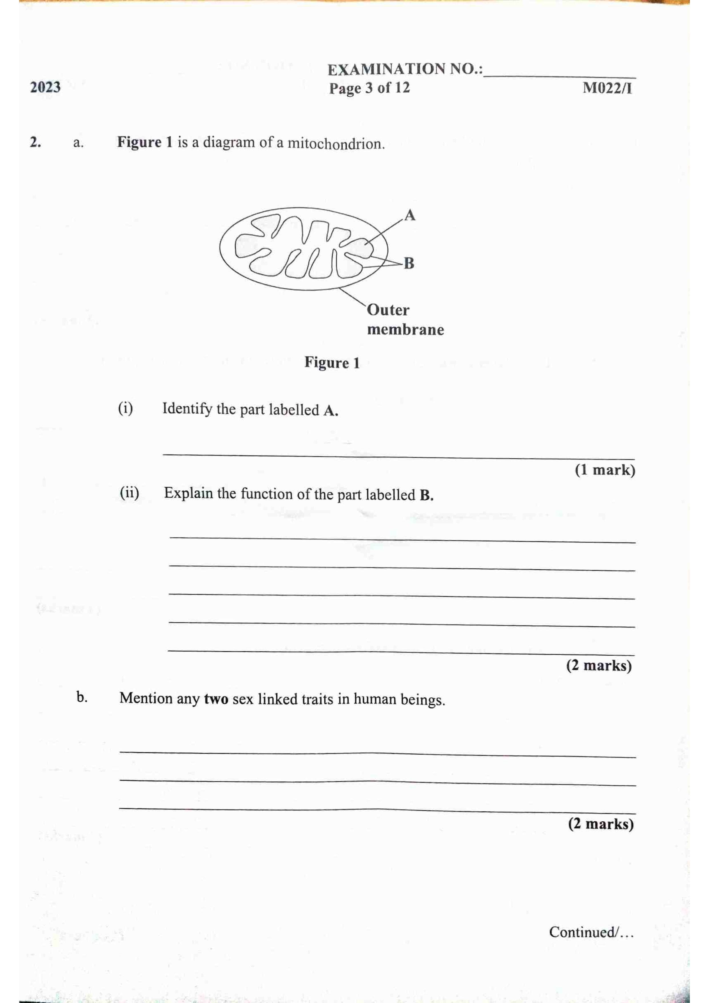 Past paper examination cover